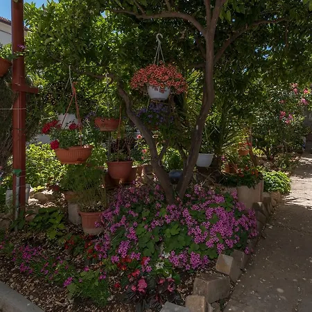 Apartmán Mare