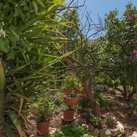 דירה Mare טרוגיר