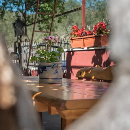 Mare דירה טרוגיר