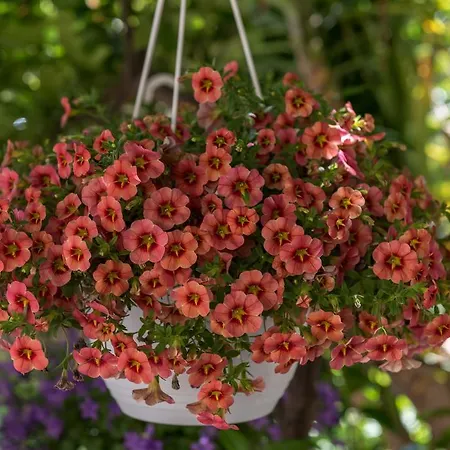 דירה Mare טרוגיר