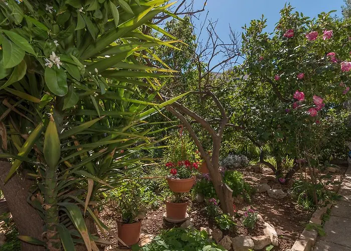 Apartamento Mare Trogir