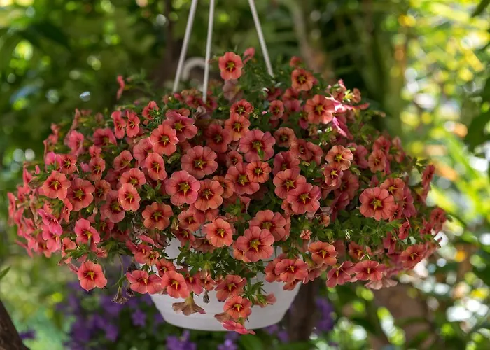 Апартаменты Mare Трогир